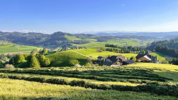 Emmental_Baerhegen_Sumiswald_Aussicht_Sommer_IH-16×9-v7z8wm1k44az9zd
