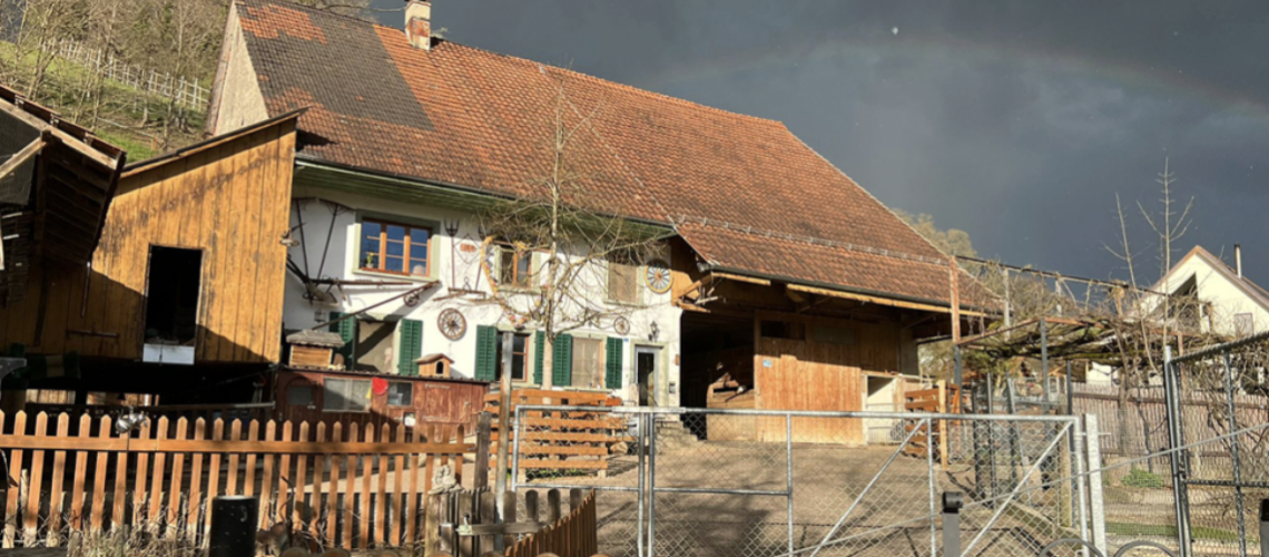 Bildschirmfoto 2026-01-27 um 19.22.28